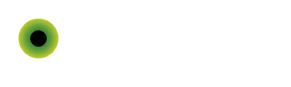 Optics and Vision